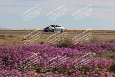 media/Jan-08-2023-SCCA SD (Sun) [[8f6a5b9391]]/Intermediate Group/Session 2 (Short Straight)/